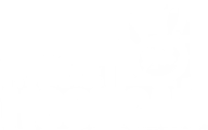 Metacade Partner - My Pet Hooligan PNG Logo